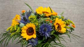 TEST Intersolve product - duplicate source